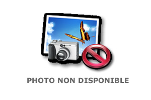 Photo non disponible pour le moment...